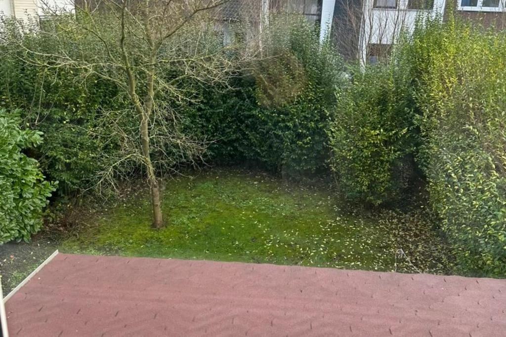 Kleines Haeuschen In Cadzand-Bad 외부 사진